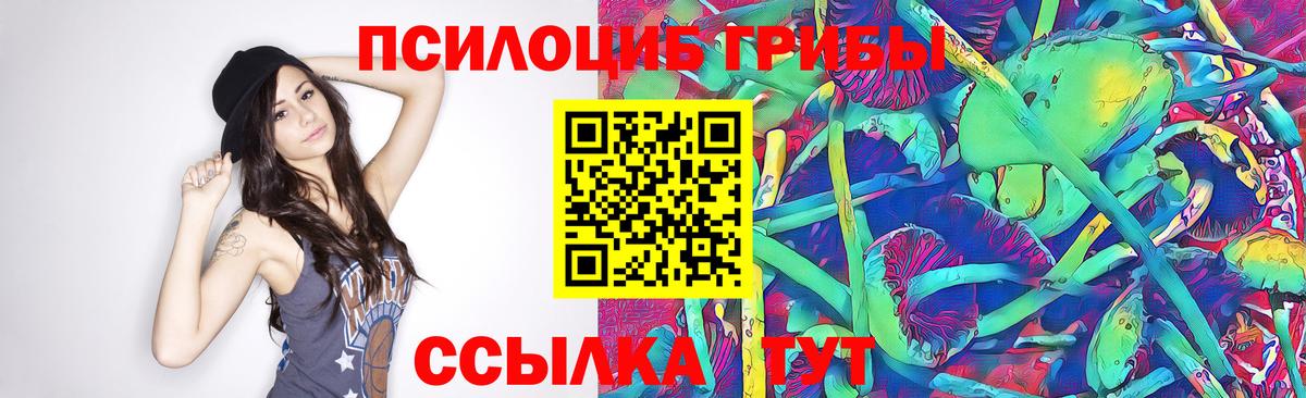 Галлюциногенные грибы ЛСД Владикавказ